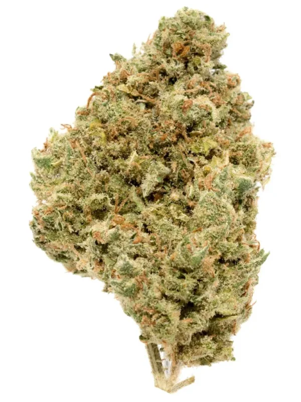 Buy Jack Herer Strain Online