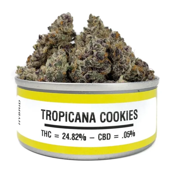 Space Monkey Meds Tropicana Cookies