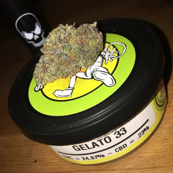 Space monkey meds Gelato 33